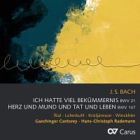 Núria Rial, Wiebke Lehmkuhl, Benedikt Kristjánsson, Matthias Winckhler – Bach, J.S.: Ich hatte viel Bekummernis, Cantata BWV 21; Herz und Mund und Tat und Leben, Cantata BWV 147