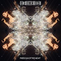 Sophie Ellis-Bextor – Freedom Of The Night