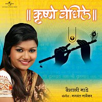 Vaishali Made – Krushne Vedhile [Album Version]