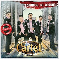 Cártel De Sinaloa – Corrido De ABCdario