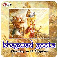 Puttur Narasimha Nayak – Bhagwad Geeta: Chanting on 18 Chapters