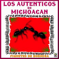 Los Auténticos de Michoacán – Piquetes De Hormiga