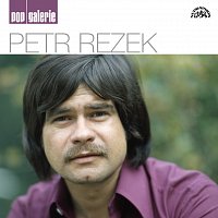 Petr Rezek – Pop galerie