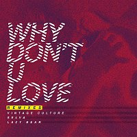 Vintage Culture, Selva & Lazy Bear – Why Don't U Love (Remixes)