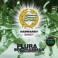 Per Bredhammar, Hammarbyspelare – Hammarby Bandy