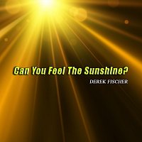 Derek Fischer – Can You Feel the Sunshine?