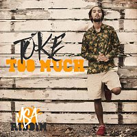 Přední strana obalu CD Too Much