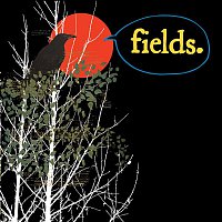 Fields – If You Fail We All Fail