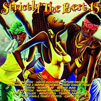 Strictly The Best – Strictly The Best Vol. 13