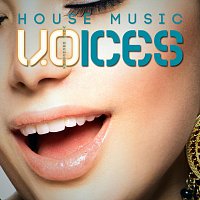 Void Orchestra – House Music Voices