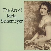 Přední strana obalu CD The Art of Meta Seinemeyer