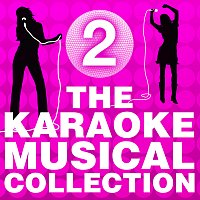 Různí interpreti – The Karaoke Musical Collection [Vol. 2]