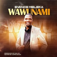 Přední strana obalu CD Wawunami