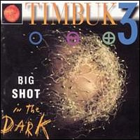 Timbuk 3 – Big Shot In The Dark
