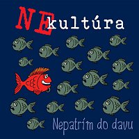 Přední strana obalu CD Nepatrím do davu