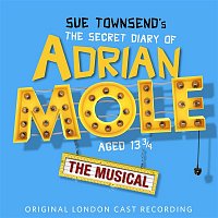 Přední strana obalu CD The Secret Diary of Adrian Mole Aged 13 3/4 - The Musical (Original London Cast Recording)