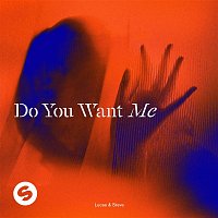 Lucas & Steve – Do You Want Me