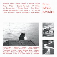 Iva Bittová – Brno město básníků