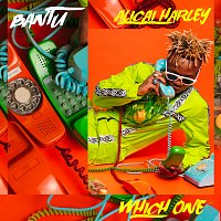 Bantu, Alicai Harley – Which One