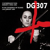 DG 307 – V katedrálách ticha (koncert z roku 1994)