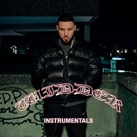 Fler – WIDDER [INSTRUMENTALS]