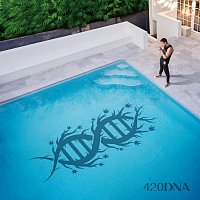 Chillinit – 420DNA