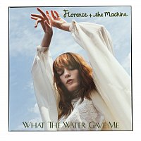 Florence + The Machine – What The Water Gave Me