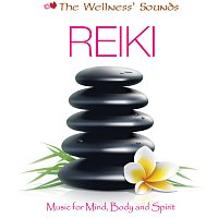 Různí interpreti – The Wellness' Sounds: Music for Mind, Body & Spirit – Reiki