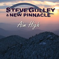 Steve Gulley & New Pinnacle – Aim High