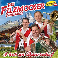 Die Filzmooser Tanzlmusi – I hob an Bauernhof