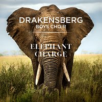 Drakensberg Boys Choir – Elephant Charge