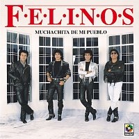 Los Felinos – Muchachita De Mi Pueblo