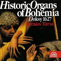 Jaroslav Tůma – Historické varhany I Sv. Bartoloměj v Doksech MP3