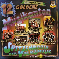Různí interpreti – 12 Goldene Musikanten