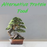 Alternative Protein Food