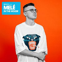Melé – Defected Presents Melé In The House