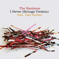 The Bamboos – I Never (feat. Dan Sultan) [Strings Version]
