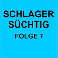 Přední strana obalu CD Schlager Süchtig Folge 7
