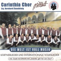 Carinthia Chor Millstatt – Die Welt ist voll Musik