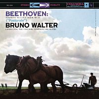 Přední strana obalu CD Beethoven: Symphony No. 6 in F Major, Op. 88 "Pastorale" (Remastered)