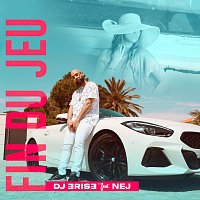 Dj Erise, Nej – Fin du jeu