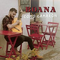 Boana – Como Camarón