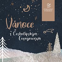 Vánoce s Českolipským Evergreenem