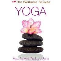 Různí interpreti – The Wellness' Sounds: Music for Mind, Body & Spirit – Yoga
