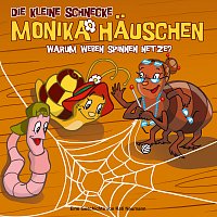 Die kleine Schnecke Monika Hauschen – 09: Warum weben Spinnen Netze?