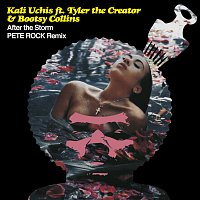 Kali Uchis, Tyler, The Creator, Bootsy Collins – After The Storm [Pete Rock Remix]