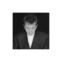 Peter Gabriel – Shaking The Tree - 16 Golden Greats [Remastered]