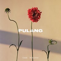 Sade Susanto – Pulang