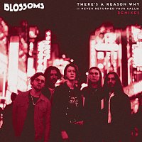 Blossoms – There's A Reason Why (I Never Returned Your Calls) [Remixes]