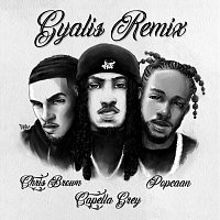 Capella Grey, Popcaan, Chris Brown – GYALIS [Remix]
